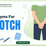 synonyms for crotch