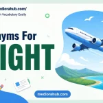 Synonyms for Flight