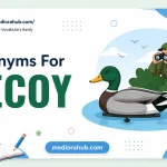 Synonyms for Decoy